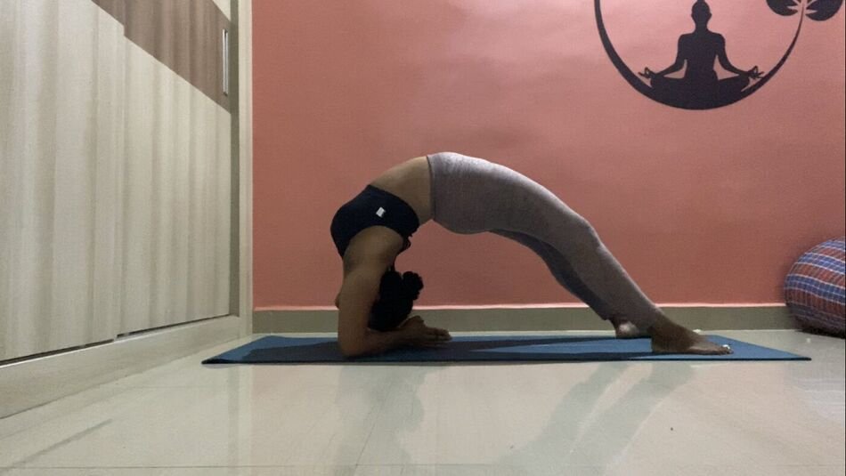 Nitya in a supported backbend